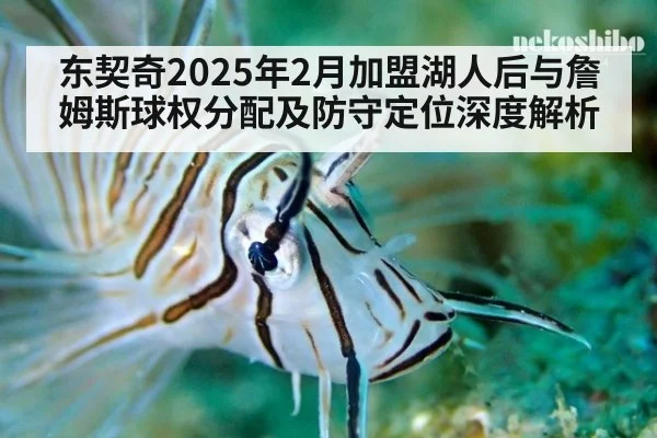 东契奇2025年2月加盟湖人后与詹姆斯球权分配及防守定位深度解析